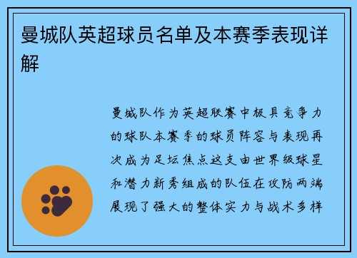 曼城队英超球员名单及本赛季表现详解