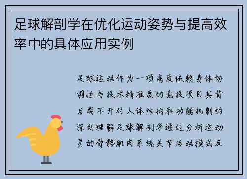 足球解剖学在优化运动姿势与提高效率中的具体应用实例
