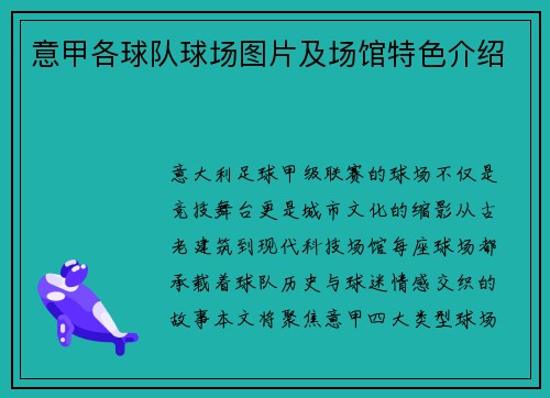 意甲各球队球场图片及场馆特色介绍